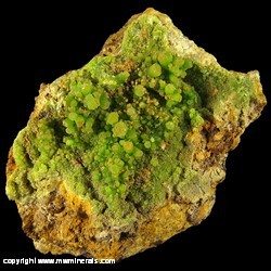 Minerals Specimen: Pyromorphite from Wheatley Mines, Schuylkill Twp., Chester Co., Pennsylvania Minerals Specimen: Pyromorphite from Wheatley Mines, Schuylkill Twp., Chester Co., Pennsylvania