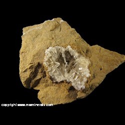 Mineral Specimen: Aragonite from Jeffrey Quarry and Mill, Parma, Jackson Co., Michigan Mineral Specimen: Aragonite from Jeffrey Quarry and Mill, Parma, Jackson Co., Michigan