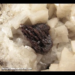 Mineral Specimen: Sphalerite, Dolomite, Calcite from Thorold area, Niagara Region, Ontario, Canada Mineral Specimen: Sphalerite, Dolomite, Calcite from Thorold area, Niagara Region, Ontario, Canada