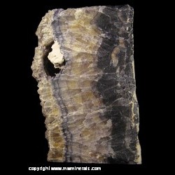 Mineral Specimen: Blue John Fluorite, Barite (unpolished) from Old Tor Mine, Castleton, High Peak, Derbyshire, England Mineral Specimen: Blue John Fluorite, Barite (unpolished) from Old Tor Mine, Castleton, High Peak, Derbyshire, England