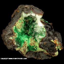 Mineral Specimen: Malachite, Partially Coated with Calcite, Goethite from Southwest Mine, Bisbee, Warren District, Mule Mts, Cochise Co., Arizona Mineral Specimen: Malachite, Partially Coated with Calcite, Goethite from Southwest Mine, Bisbee, Warren District, Mule Mts, Cochise Co., Arizona