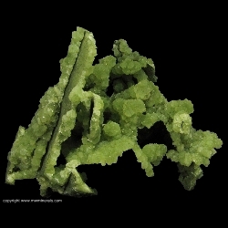 Minerals Specimen: Prehnite Casts from Lane & Sons Traprock quarries, Westfield, Hampden County, Massachusetts, USA