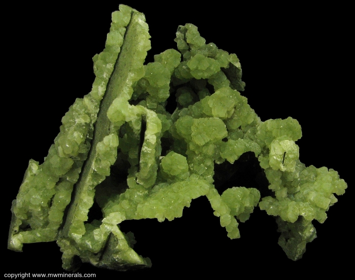 Mineral Specimen: Prehnite Casts from Lane & Sons Traprock quarries, Westfield, Hampden County, Massachusetts, USA