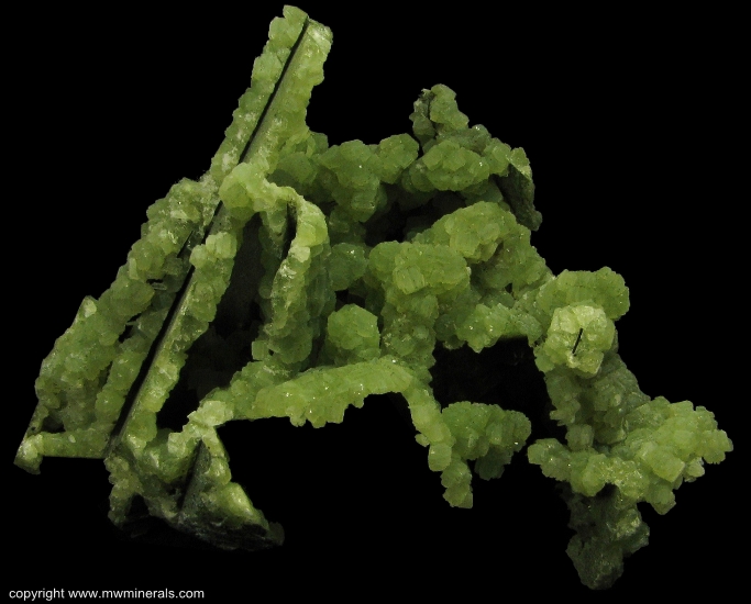 Mineral Specimen: Prehnite Casts from Lane & Sons Traprock quarries, Westfield, Hampden County, Massachusetts, USA