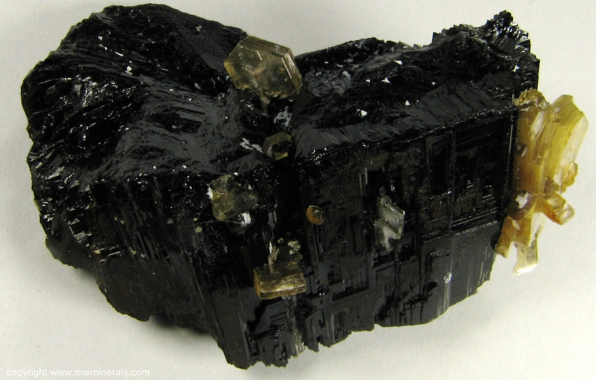 Mineral Specimen: Schorl Tourmaline with Muscovite from Sapucaia Mine, Sapucaia do Norte, Galileia, Doce valley, Minas Gerais, Brazil