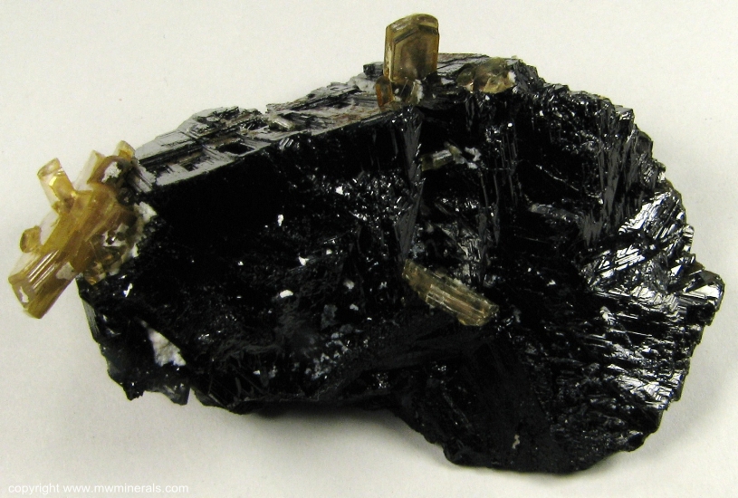 Mineral Specimen: Schorl Tourmaline with Muscovite from Sapucaia Mine, Sapucaia do Norte, Galileia, Doce valley, Minas Gerais, Brazil