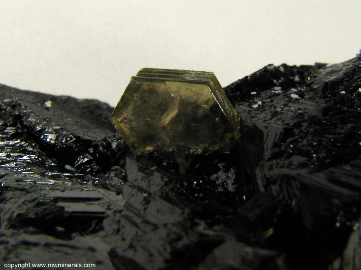 Mineral Specimen: Schorl Tourmaline with Muscovite from Sapucaia Mine, Sapucaia do Norte, Galileia, Doce valley, Minas Gerais, Brazil