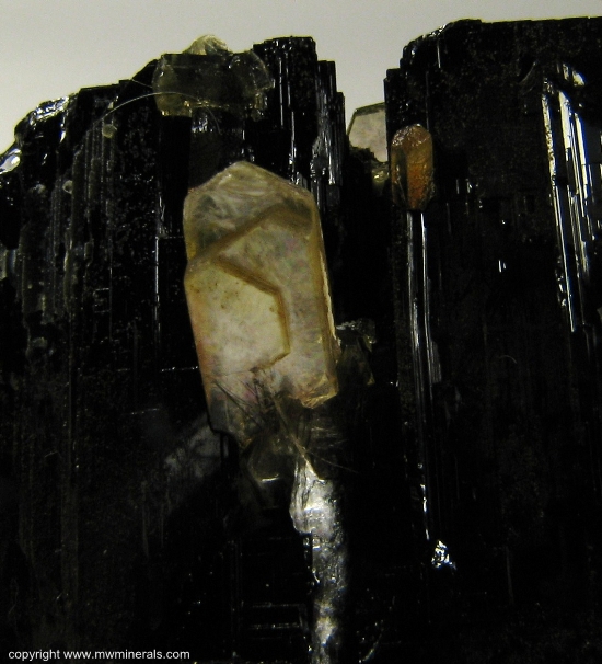 Mineral Specimen: Schorl Tourmaline with Muscovite from Sapucaia Mine, Sapucaia do Norte, Galileia, Doce valley, Minas Gerais, Brazil
