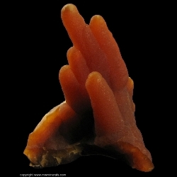 Minerals Specimen: Calcite Stalactites from Alzada, Carter County, Montana Minerals Specimen: Calcite Stalactites from Alzada, Carter County, Montana