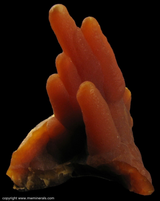 Mineral Specimen: Calcite Stalactites from Alzada, Carter County, Montana
