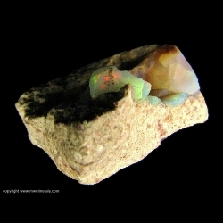 Minerals Specimen: Opal in Rhyolite from Jalisco, Mexico