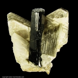 Minerals Specimen: Schorl Tourmaline in Muscovite from Skardu District, Baltistan, Northern Areas, Pakistan