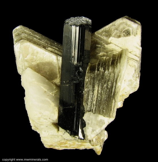 Mineral Specimen: Schorl Tourmaline in Muscovite from Skardu District, Baltistan, Northern Areas, Pakistan
