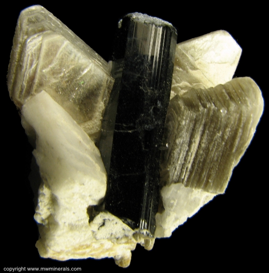 Mineral Specimen: Schorl Tourmaline in Muscovite from Skardu District, Baltistan, Northern Areas, Pakistan
