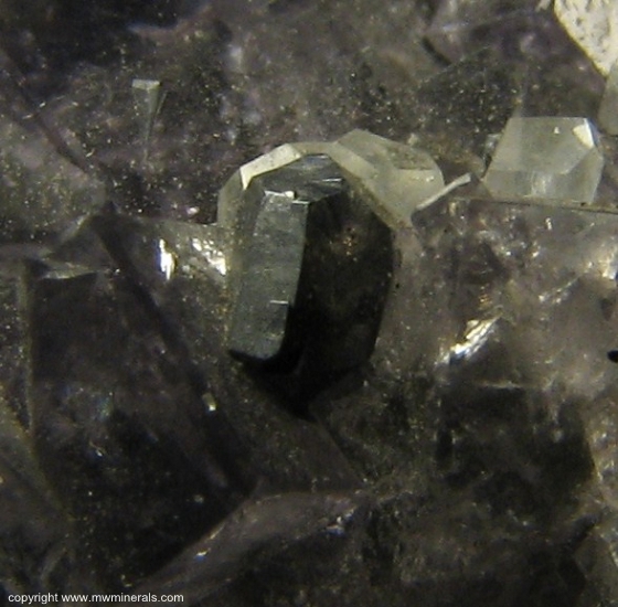 Mineral Specimen: Fluorite with Calcite and Galena from Blackdene Mine, Ireshopeburn, Weardale, North Pennines, Co. Durham, England, UK