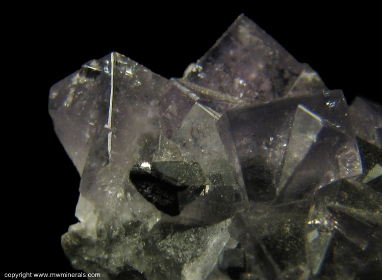 Mineral Specimen: Fluorite with Calcite and Galena from Blackdene Mine, Ireshopeburn, Weardale, North Pennines, Co. Durham, England, UK