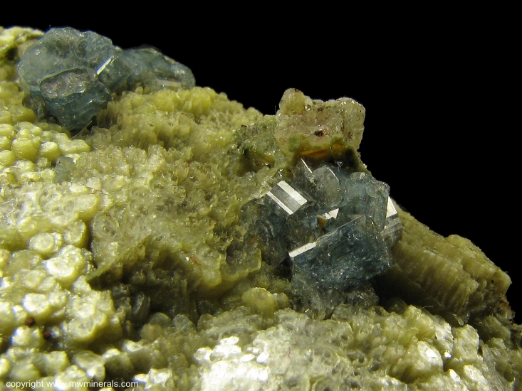 Mineral Specimen: Blue Fluorapatite on Green Muscovite from Emmons Quarry, Uncle Tom Mountain, Greenwood, Oxford Co., Maine, USA