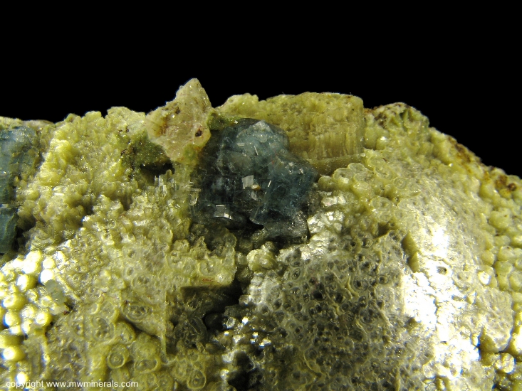 Mineral Specimen: Blue Fluorapatite on Green Muscovite from Emmons Quarry, Uncle Tom Mountain, Greenwood, Oxford Co., Maine, USA