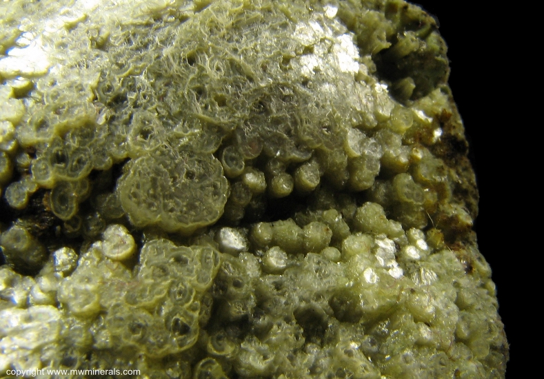 Mineral Specimen: Blue Fluorapatite on Green Muscovite from Emmons Quarry, Uncle Tom Mountain, Greenwood, Oxford Co., Maine, USA