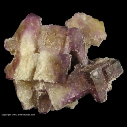 Minerals Specimen: Calcite on Purple and Yellow Fluorite from Cave-In-Rock, Hardin County, Illinois Minerals Specimen: Calcite on Purple and Yellow Fluorite from Cave-In-Rock, Hardin County, Illinois