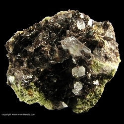 Minerals Specimen: Axinite-(Fe) with Quartz from New Melones Dam, Copperopolis, Calaveras Co., California, USA Minerals Specimen: Axinite-(Fe) with Quartz from New Melones Dam, Copperopolis, Calaveras Co., California, USA