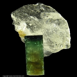 Minerals Specimen: Tourmaline (Elbaite), Quartz from Sapo mine, Conselheiro Pena, Doce valley, Minas Gerais, Brazil