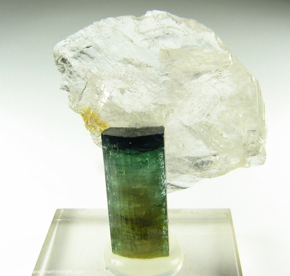 Mineral Specimen: Tourmaline (Elbaite), Quartz from Sapo mine, Conselheiro Pena, Doce valley, Minas Gerais, Brazil