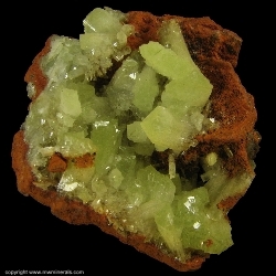Minerals Specimen: Adamite from Mina Ojuela, Mapimi, Durango, Mexico