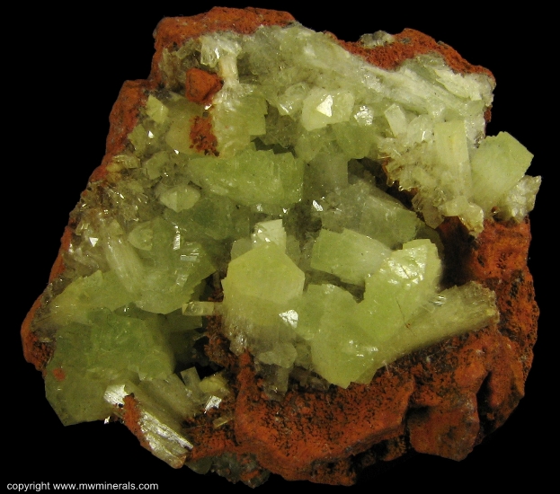 Mineral Specimen: Adamite from Mina Ojuela, Mapimi, Durango, Mexico