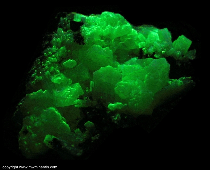 Mineral Specimen: Adamite from Mina Ojuela, Mapimi, Durango, Mexico