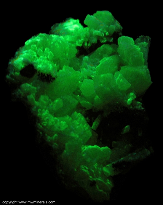 Mineral Specimen: Adamite from Mina Ojuela, Mapimi, Durango, Mexico