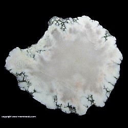Minerals Specimen: Datolite from Lake Mine, Mass City, Ontonagon County, Michigan, USA Minerals Specimen: Datolite from Lake Mine, Mass City, Ontonagon County, Michigan, USA