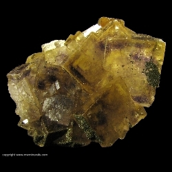 Minerals Specimen: Fluorite with Pyrite from Villabona Mines, Villabona, Llanera, Villabona Mining Area, Asturias, Spain