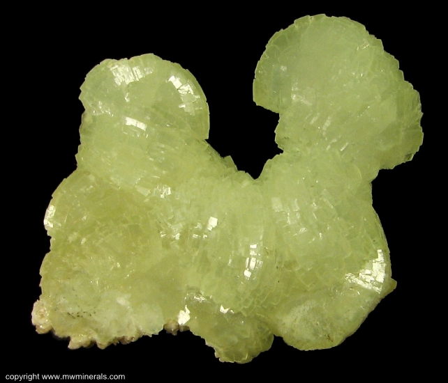 Mineral Specimen: Prehnite from Lower New Street quarry, Paterson, Passaic Co., New Jersey, USA