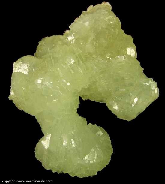Mineral Specimen: Prehnite from Lower New Street quarry, Paterson, Passaic Co., New Jersey, USA