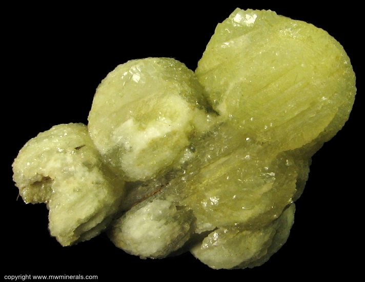 Mineral Specimen: Ball Prehnite from Lower New Street quarry, Paterson, Passaic Co., New Jersey, USA
