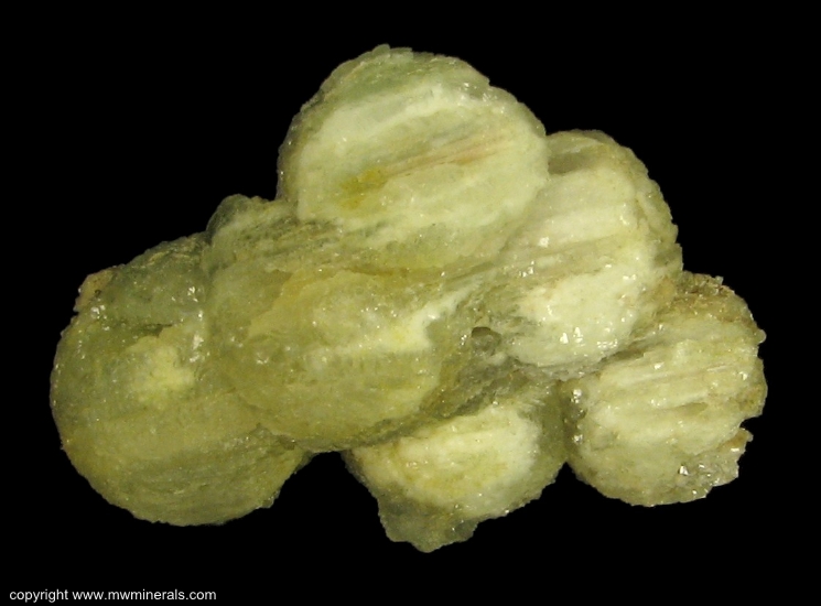 Mineral Specimen: Ball Prehnite from Lower New Street quarry, Paterson, Passaic Co., New Jersey, USA