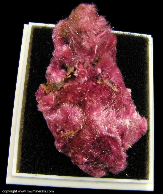 Mineral Specimen: Erythrite from Sara Alicia Mine, San Bernardo, Mun. de Alamos, Sonora, Mexico