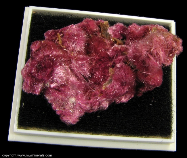 Mineral Specimen: Erythrite from Sara Alicia Mine, San Bernardo, Mun. de Alamos, Sonora, Mexico