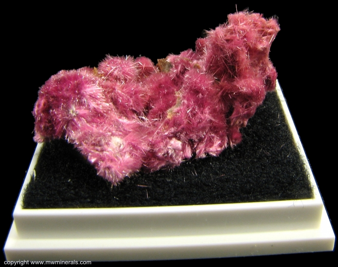 Mineral Specimen: Erythrite from Sara Alicia Mine, San Bernardo, Mun. de Alamos, Sonora, Mexico