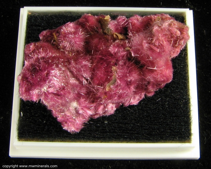 Mineral Specimen: Erythrite from Sara Alicia Mine, San Bernardo, Mun. de Alamos, Sonora, Mexico