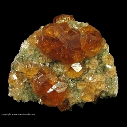 Minerals Specimen: Grossular Garnet variety: Hessonite on Diopside from Jeffrey Quarry, Asbestos, Les Sources RCM, Estrie, Quebec, Canada