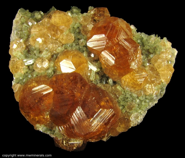 Mineral Specimen: Grossular Garnet variety: Hessonite on Diopside from Jeffrey Quarry, Asbestos, Les Sources RCM, Estrie, Quebec, Canada