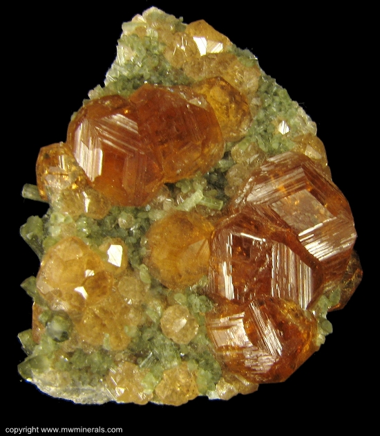 Mineral Specimen: Grossular Garnet variety: Hessonite on Diopside from Jeffrey Quarry, Asbestos, Les Sources RCM, Estrie, Quebec, Canada