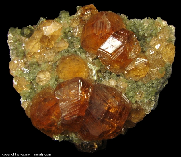 Mineral Specimen: Grossular Garnet variety: Hessonite on Diopside from Jeffrey Quarry, Asbestos, Les Sources RCM, Estrie, Quebec, Canada