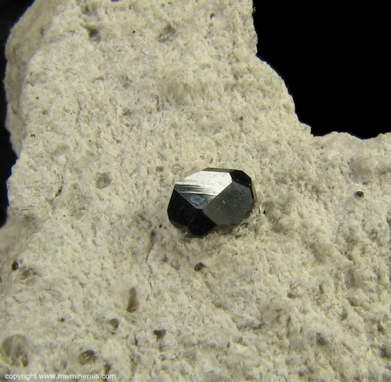 Mineral Specimen: Almandine Garnet on Rhyolite from Garnet Hill, Ely, Robinson District, White Pine Co., Nevada, USA