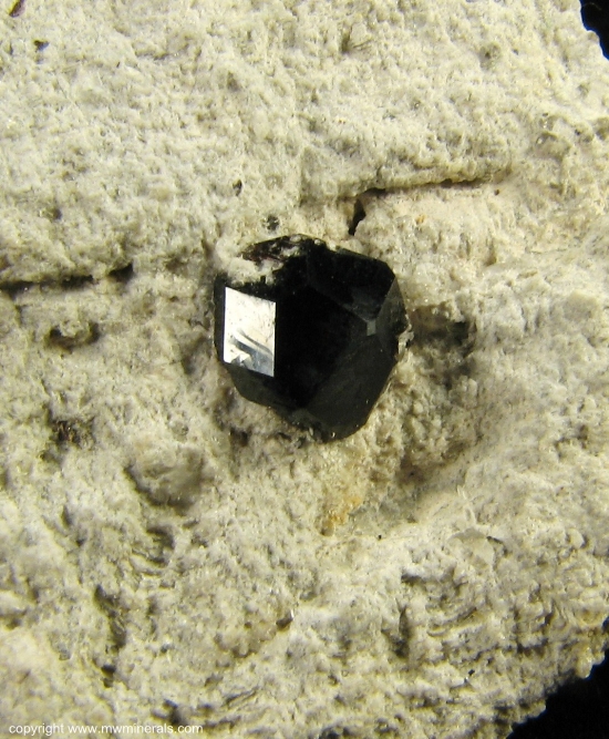 Mineral Specimen: Almandine Garnet on Rhyolite from Garnet Hill, Ely, Robinson District, White Pine Co., Nevada, USA