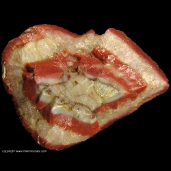 Minerals Specimen: Kentucky Agate Geode Section from Kentucky Minerals Specimen: Kentucky Agate Geode Section from Kentucky