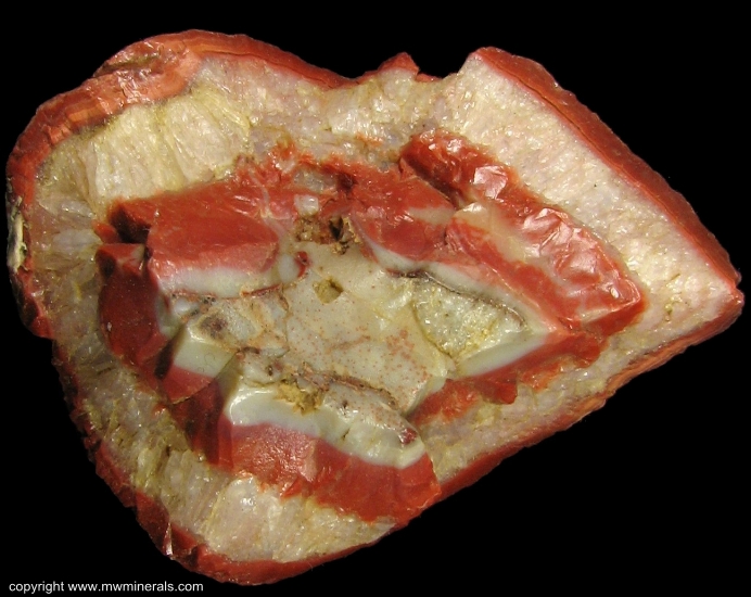 Mineral Specimen: Kentucky Agate Geode Section from Kentucky