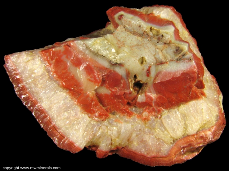 Mineral Specimen: Kentucky Agate Geode Section from Kentucky